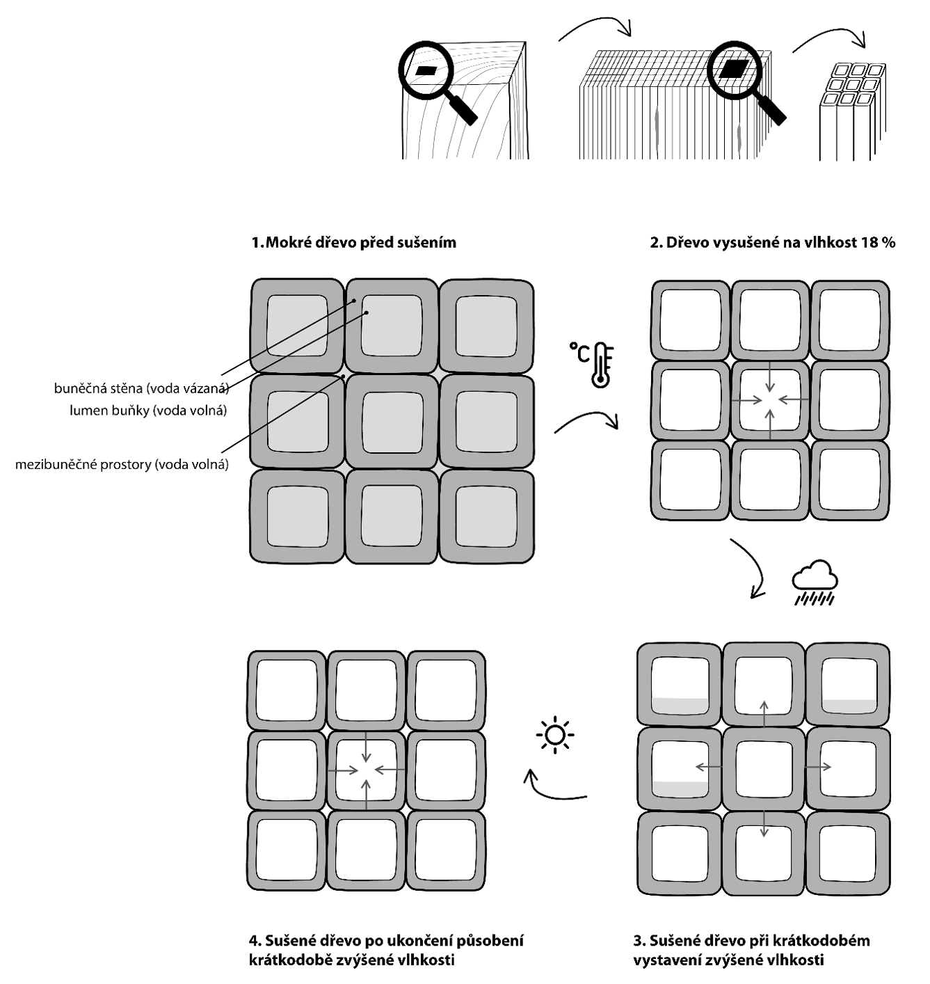 Sušené dřevo vystavené krátkodobé vlhkosti